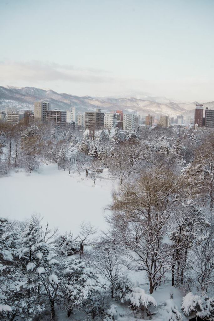 Scenic winter view of Sapporo covered in snow, captured during an elegant destination wedding in Hokkaido.