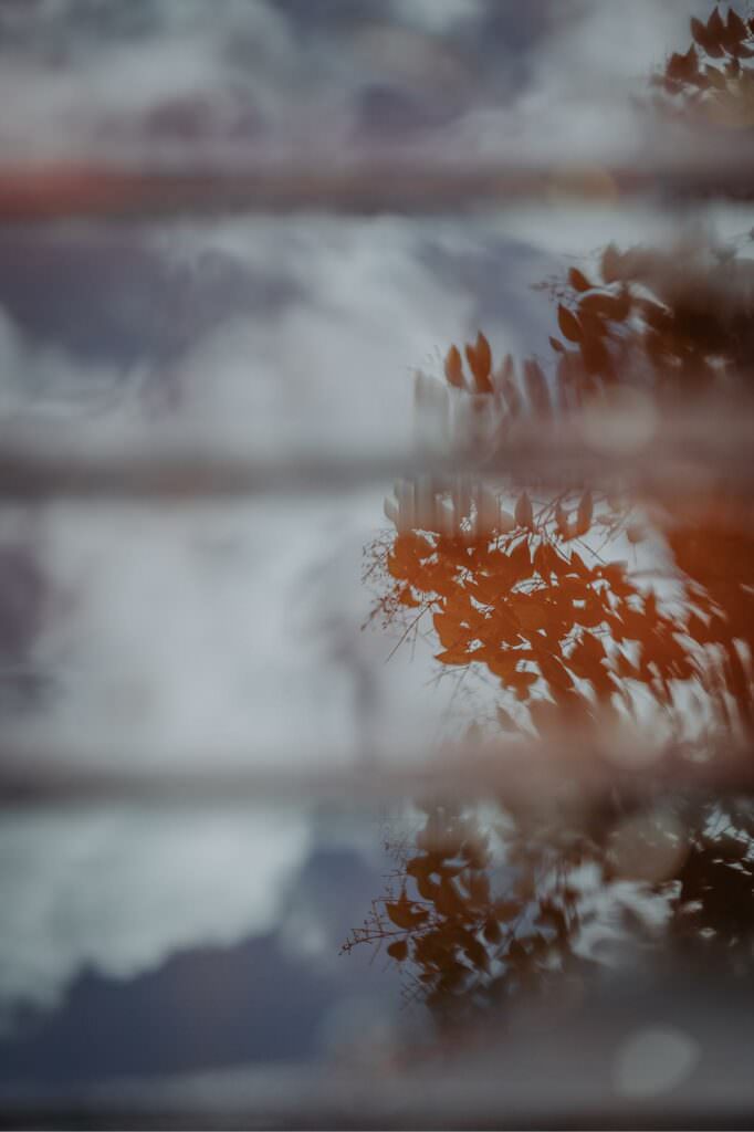 Soft, dreamy window reflections blending sky, clouds, and autumn leaves.